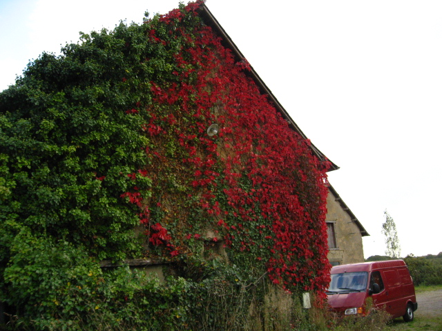 d0141239_1283845.jpg