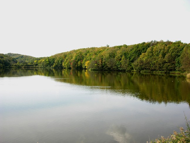 c0005546_1902050.jpg