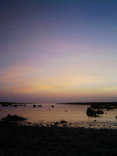 b0147552_20295410.jpg