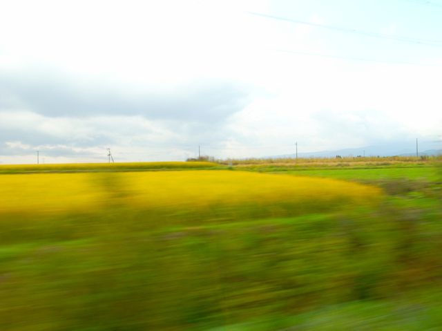c0138553_23233987.jpg