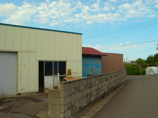 c0138553_23353889.jpg