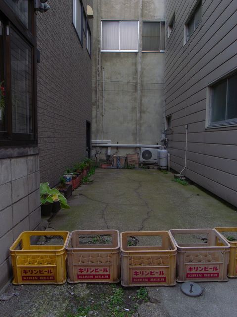 c0138553_2342564.jpg