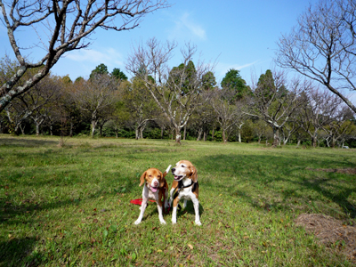 b0045357_10551751.jpg