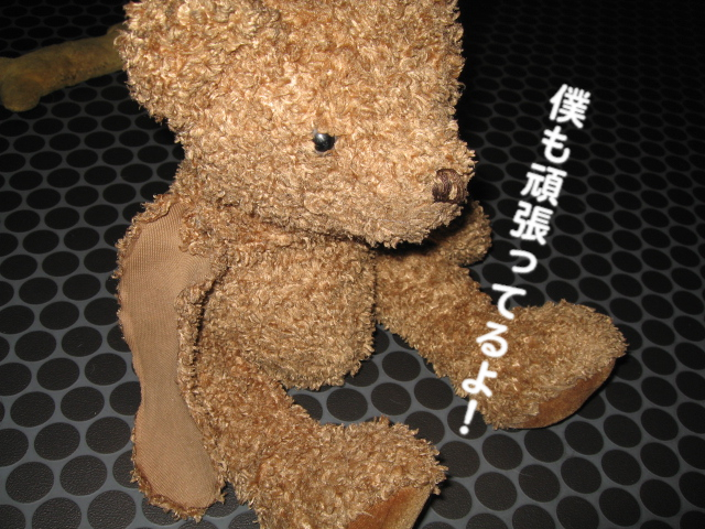a0101958_1653732.jpg