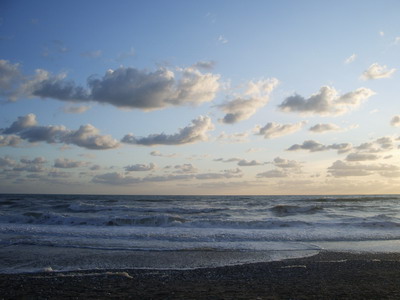 c0161459_5521050.jpg
