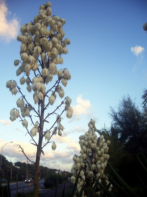 c0161459_5573148.jpg