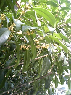 d0034659_0154938.jpg
