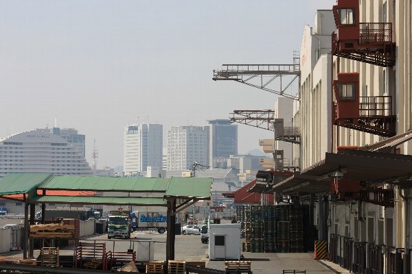 d0152960_2338870.jpg