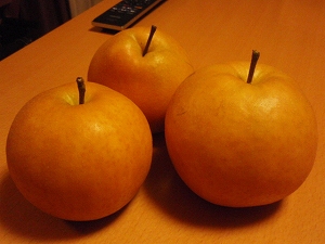 c0135363_11574934.jpg