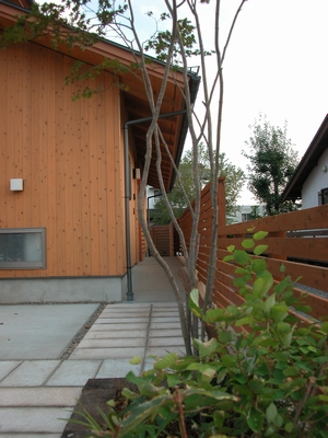 c0166668_21351786.jpg