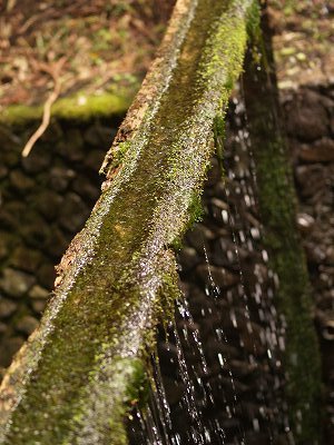d0025568_12343769.jpg