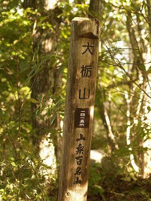 d0025568_1281616.jpg
