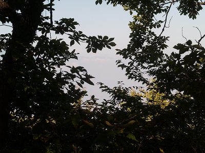 d0025568_1284177.jpg