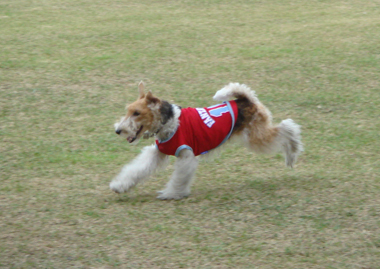b0091373_214792.jpg