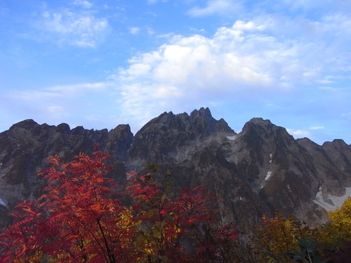 f0054075_234962.jpg