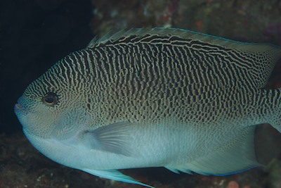d0113476_21132525.jpg