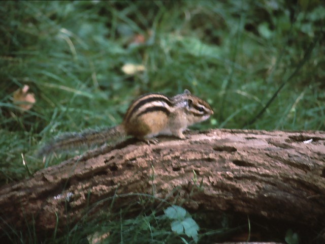 b0074377_2282898.jpg