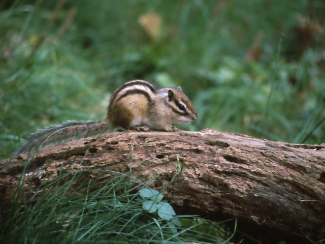 b0074377_2284942.jpg