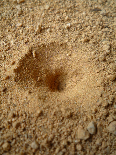 c0160778_19484678.jpg