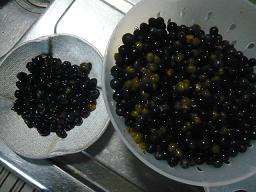 c0175679_1759691.jpg