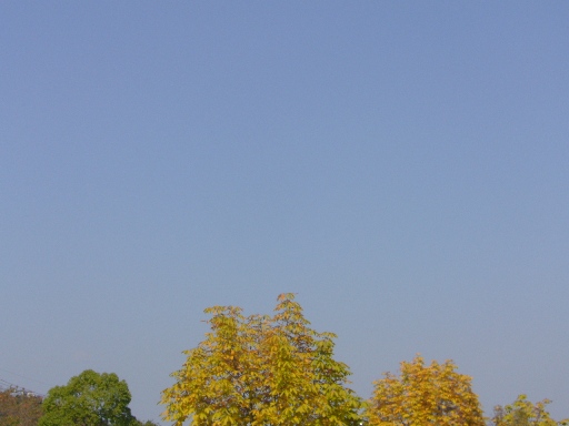 f0178381_933279.jpg
