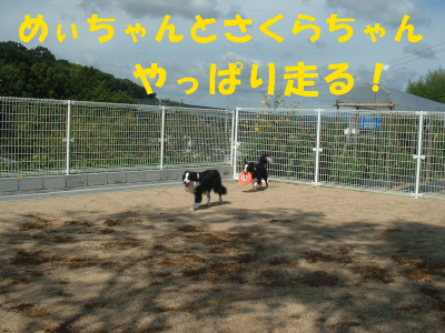 c0120585_202348.jpg