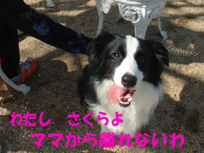 c0120585_20235390.jpg