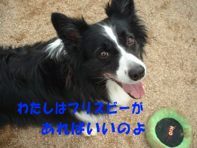 c0120585_20241666.jpg