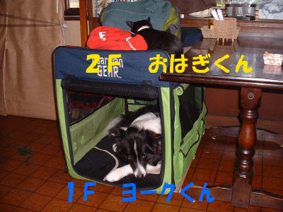 c0120585_20463356.jpg