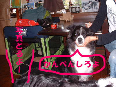 c0120585_20473781.jpg