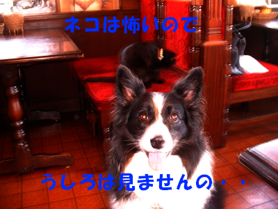 c0120585_2051081.jpg