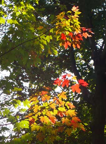 b0107891_026787.jpg