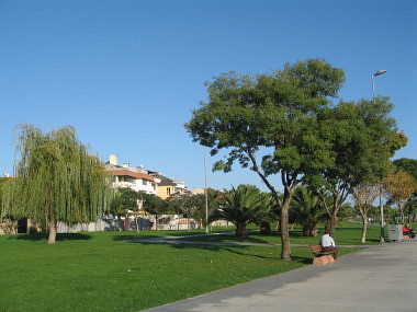 f0058691_6455810.jpg