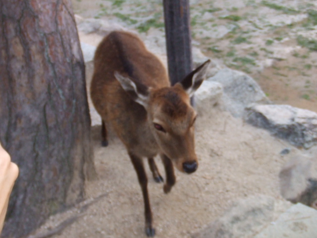f0140491_0594218.jpg
