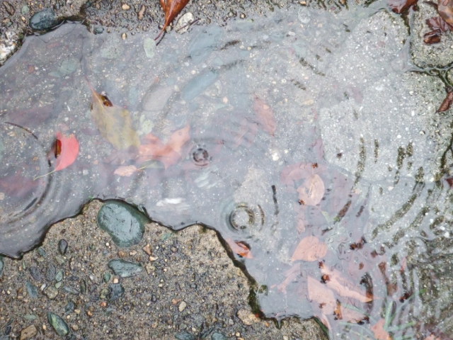 f0140491_151634.jpg