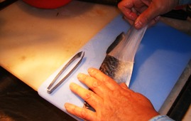 b0148594_155553.jpg