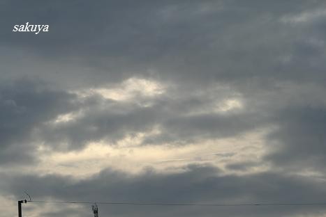 e0122194_2038180.jpg