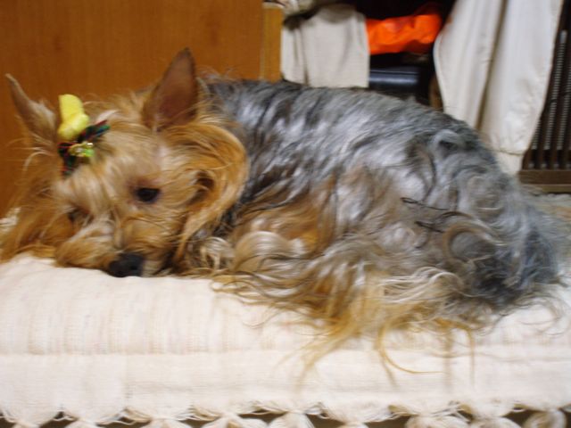 f0130894_2037419.jpg