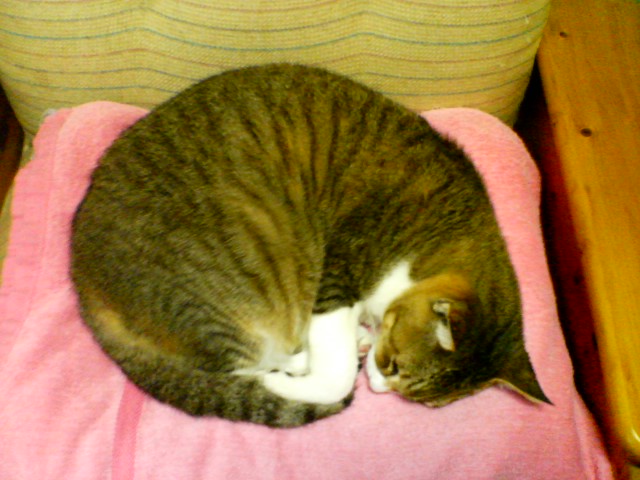 f0077595_1381328.jpg