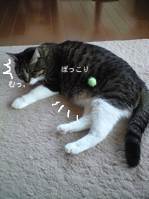 c0035001_1434635.jpg