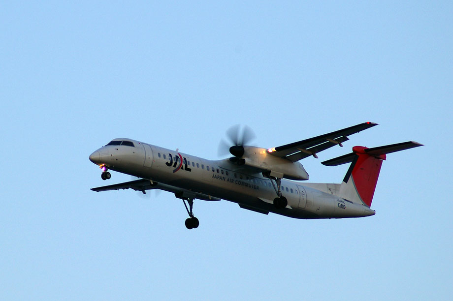 c0080101_12461962.jpg