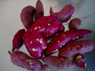 e0115502_2211329.jpg