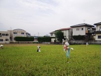 d0018704_2251391.jpg