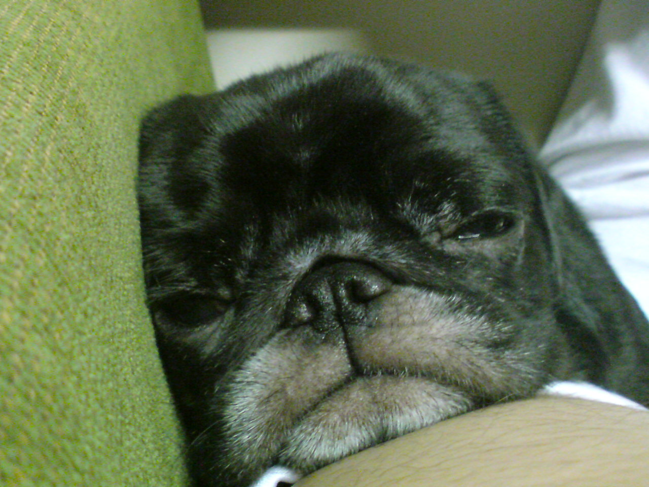 a0074110_1203349.jpg