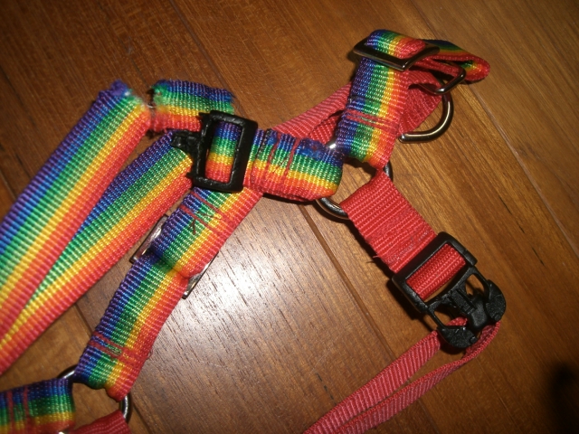 b0137913_21355199.jpg