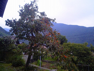 c0060919_15595281.jpg