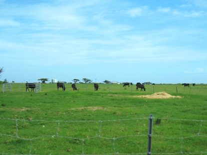 d0072521_005935.jpg