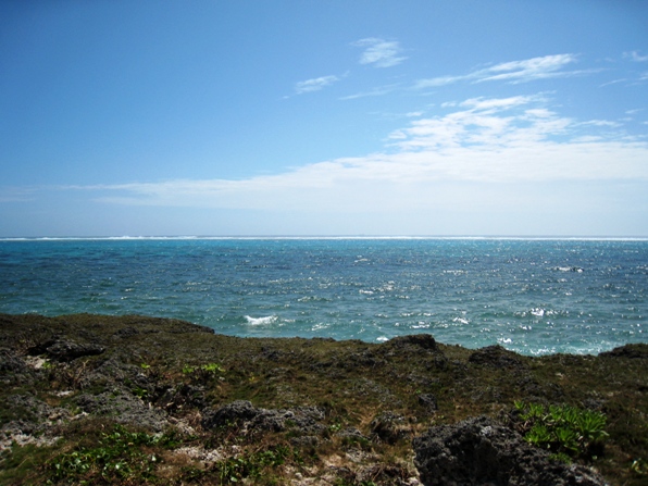 d0072521_012198.jpg
