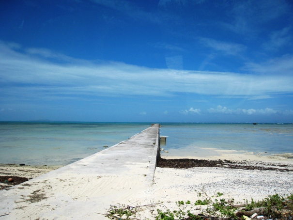 d0072521_0131111.jpg