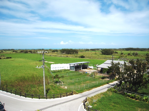 d0072521_052670.jpg